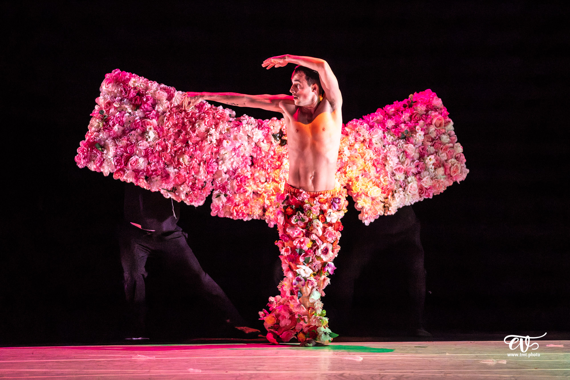 A4 (COMME LA FEUILLE) CIE CHICOS MAMBO